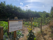 Kneipp-Erlebnisgarten World-House-Wetten
