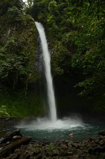 Horseback riding to La Fortuna Waterfall + Canopy Tour