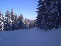 Oberharz mit Brockenblick