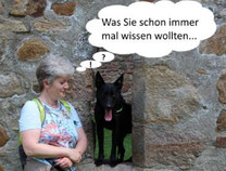 Blog Hundephysiotherapie Heike Amthor