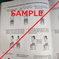 English Level I and II