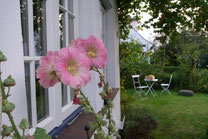 Malven rings ums Haus, Blick in den Garten, Gartenmöbel