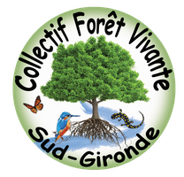 Collectif Forêt Vivante Sud-Gironde | FVSG