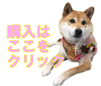 豆柴　柴犬　犬　いぬ　イヌ　ロンちゃん　line スタンプ　日常会話　敬語　