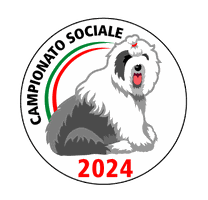 campionato-sociale-2024-29-settembre-bobtail-old-english-sheepdog-italia-spiaggia-romea-delta-del-po-giudice-christina bailey-zottel-italian-championship-september-29-2024