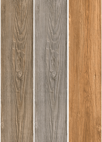 Oak Series 6 x 24