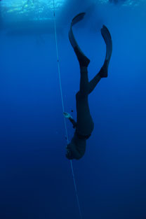 free diving nice