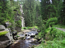 Wanderung im Schwarzwassertal