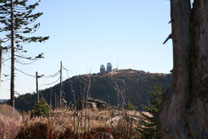 Blick hinauf zum Großen Arber