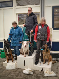 Podium Obedience 2 KC Woerden.