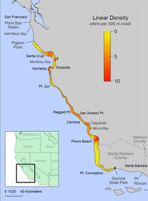 中央沿岸部のカリフォルニアラッコの現在の生息域は歴史的に生息していた場所の一部に過ぎない※クリックで拡大