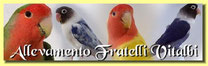 Allevamento Fratelli Vitalbi