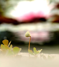 Foto: Christine
