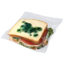 Theft Deterrent Moldy Sandwich Bags カビ付き！？サンドイッチバッグ　ジップバッグ