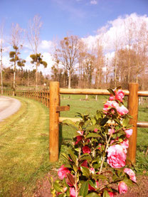 Près de l'entrée du gîte