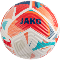 Trainingsball Goal MS 32 Panel 