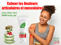 Un gel doux qui contient 60 % de gel pur d'Aloe vera et des anti-inflammatoires et antalgiques d’origines biologique Aloe vera sante beaute LR Health & Beauty