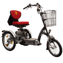 Van Raam EasyGo Scooter-Dreirad Beratung, Probefahrt und kaufen in Reutlingen