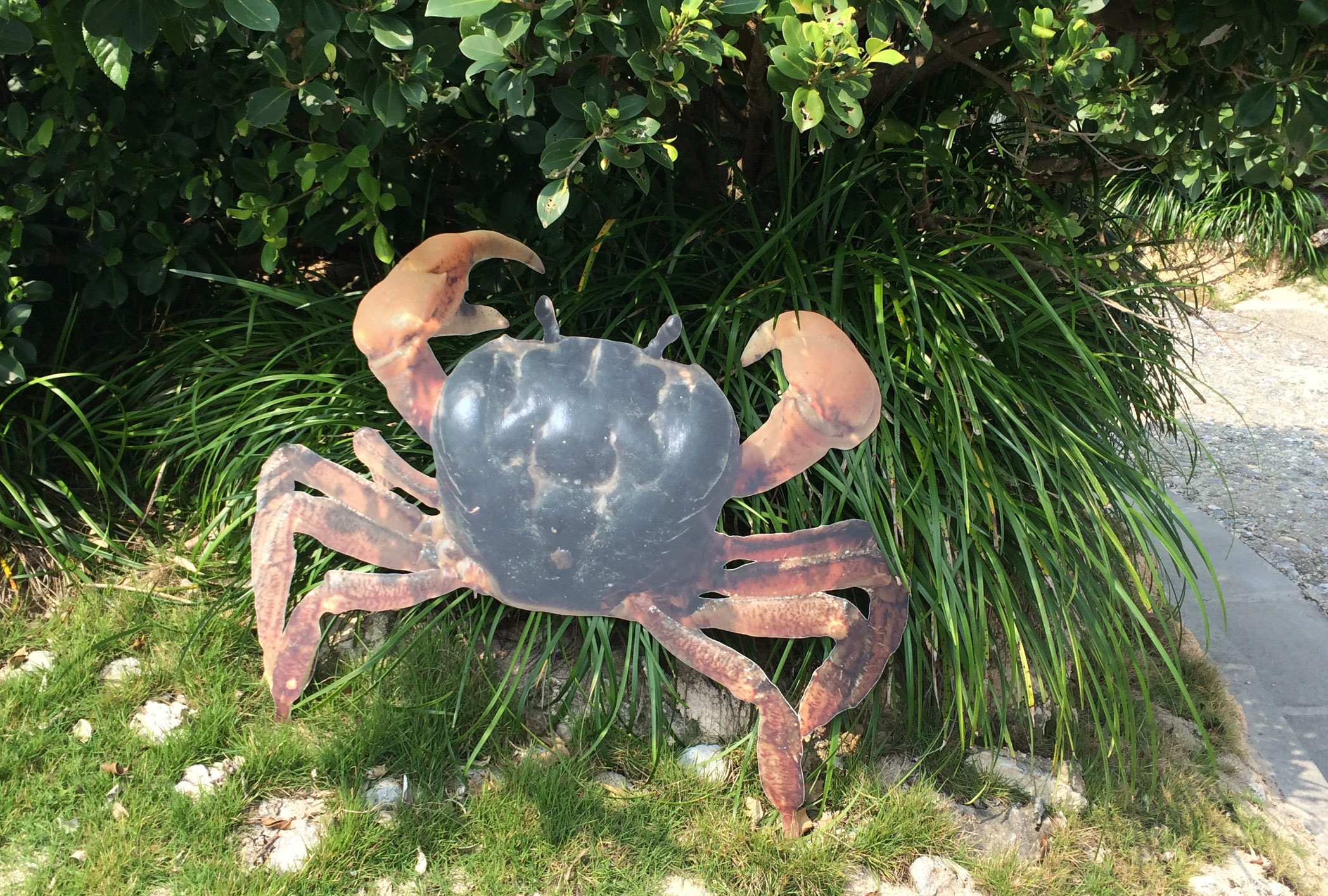 オカガニ 宮古島の高校生から見た宮古島 オカガニ 宮古島の高校生から見た宮古島