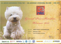 Bild anklicken um zu vergrößern 