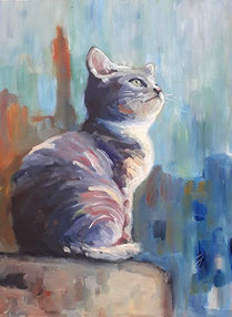 Animal Portrait , Tierportrait, Cat Portrait, Katzenportrait