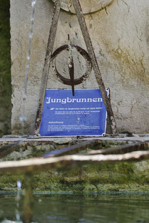 Longevity-Jungbrunnen