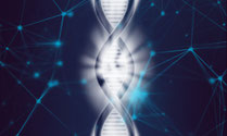 DNA/Gene
