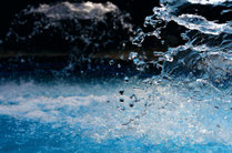 Longevity fountain of youth