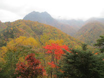 Photo of Nishizawa Valley 3