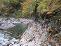 Photo of Nishizawa Valley 2