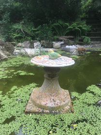 Kunstvolle Wassergärten