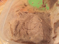 einfach Sauerteig selber herstellen - Sauerteig ansetzen