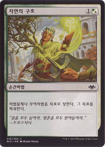 Nature’s Chant Korean Modern Horizons