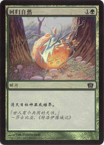 Naturalize Traditional Chinese Eighth Edition foil