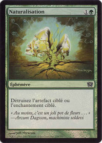 Naturalize French Ninth Edition foil
