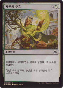 Nature’s Chant Korean Modern Horizons foil