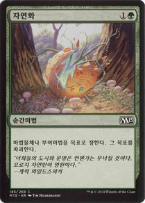 Naturalize Korean Magic 2015