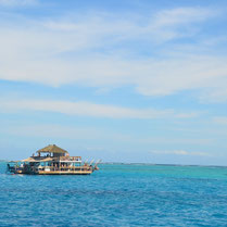 Fiji July_17