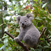 Australia June_17