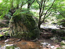 天狗の力比べ