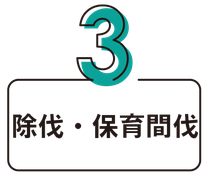 除伐・保育間伐
