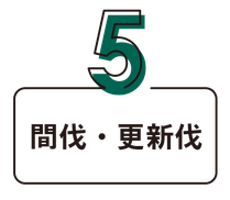 間伐・更新伐