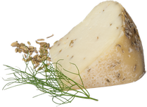 aromatic flavored pecorino with fennel cheese from sheep's milk 30 days of ripening aged on wooden planks 1200g spicchio