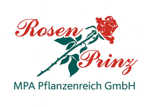 Grubelnig KG