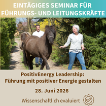 Führungskräftetraining mit Pferden in Norddeutschland