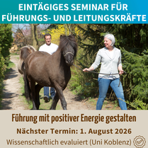 Führungskräftetraining mit Pferden in Norddeutschland