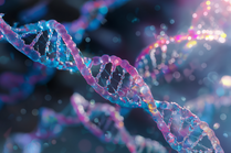 Chromosomen DNA