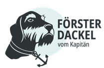 violazlivedes Webseite!