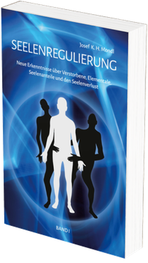 Buch SEELENREGULIERUNG Band 1