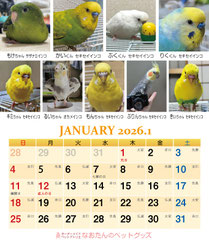 インコ カレンダー 文鳥 カレンダー 2022 インコ カレンダー 2022 鳥 カレンダー 2022 小鳥 カレンダー 2022 予約 カレンダー カレンダー 予約